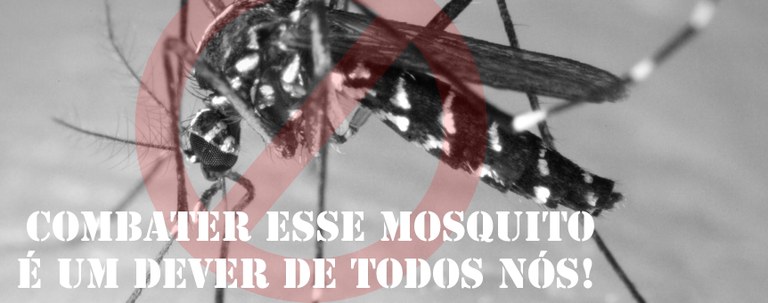 Campanha IFF contra o Mosquito