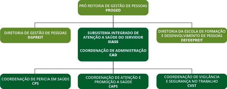 Organograma Siass