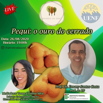 Divulgação Live Projeto Pequizeiro