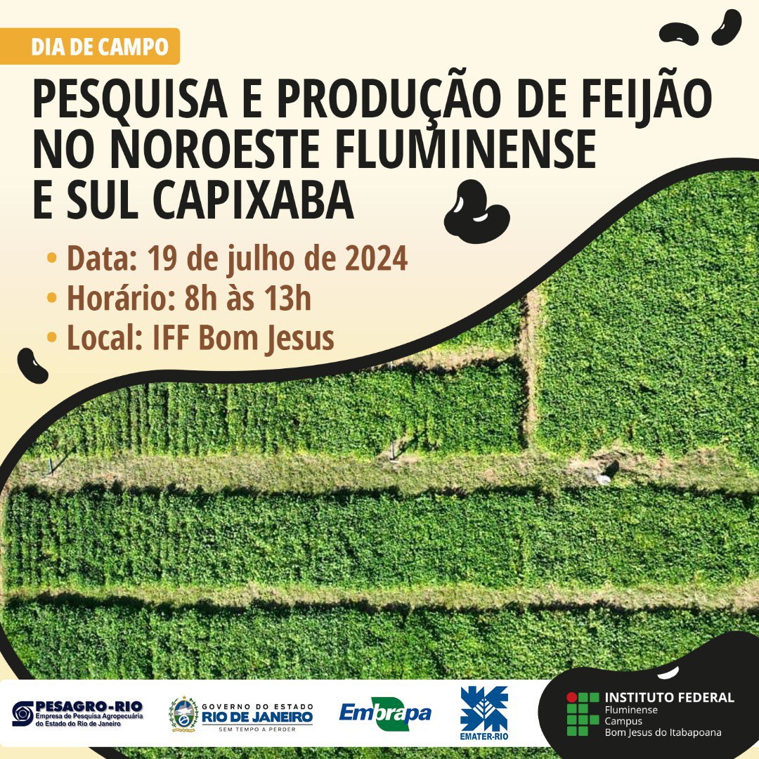 IFF Bom Jesus realiza Dia de Campo sobre pesquisa e produção de feijão