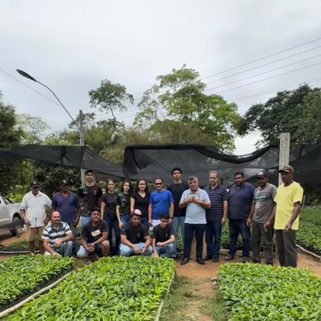 IFF produz 160 mil mudas de café para doação a produtores