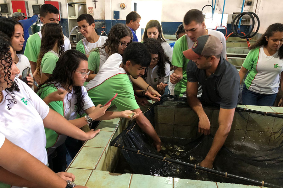 Alunos de Agropecuária visitam Piscicultura Sol Nascente