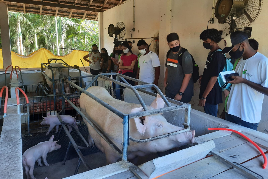 Alunos de Agropecuária visitam IFF Bom Jesus pela primeira vez