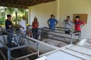 A equipe visitou todas as instalações de suinocultura, avicultura, cunicultura e bovinocultura.