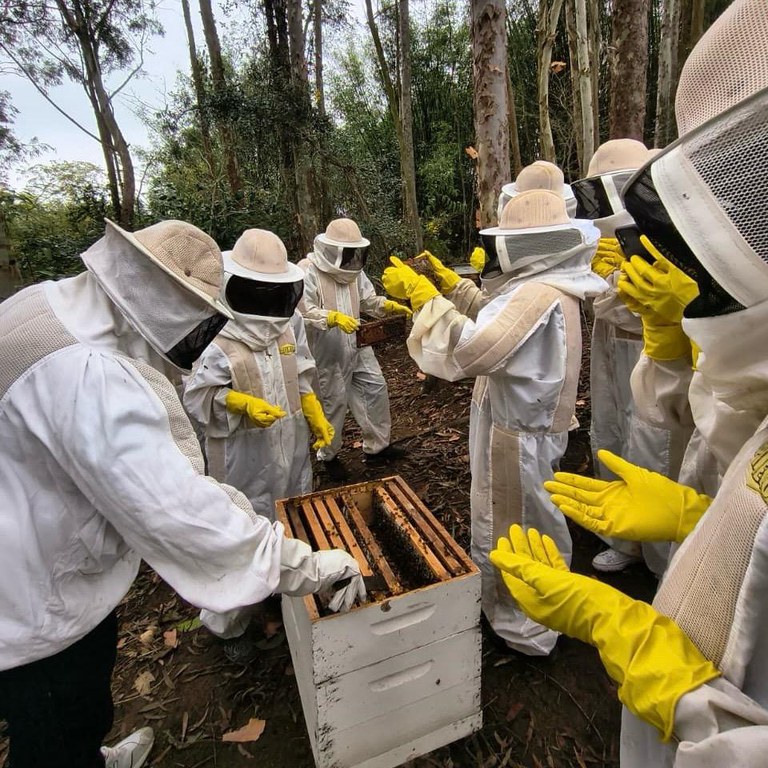Curso de Processamento de Mel e Própolis