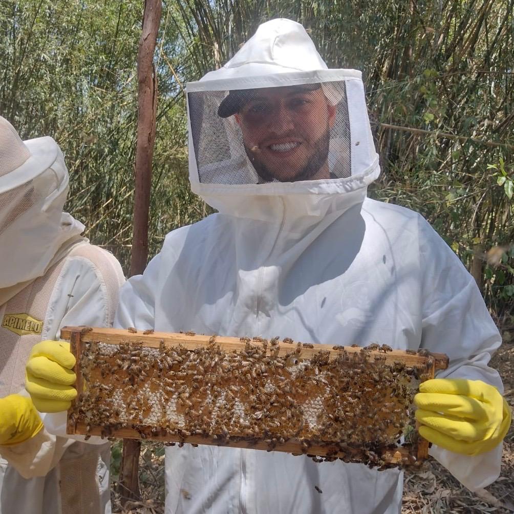 Curso Boas Práticas de Beneficiamento de mel e própolis