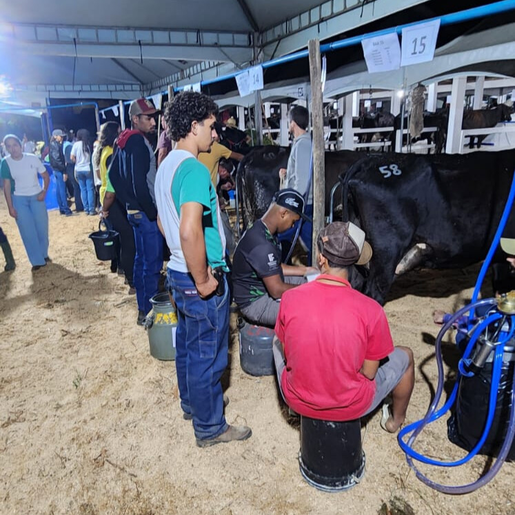 Concurso Leiteiro Expocavil 2024