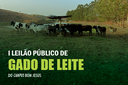 IFF Bom Jesus realizará leilão público de gado de leite no dia 23 de setembro