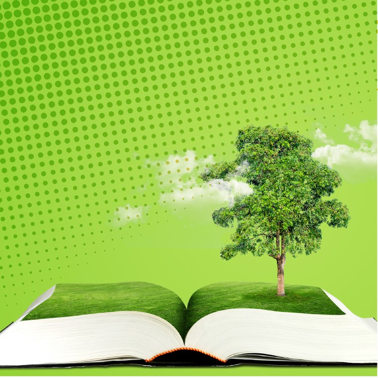 Inscrições abertas para seleção de educadores bolsistas do Pronera