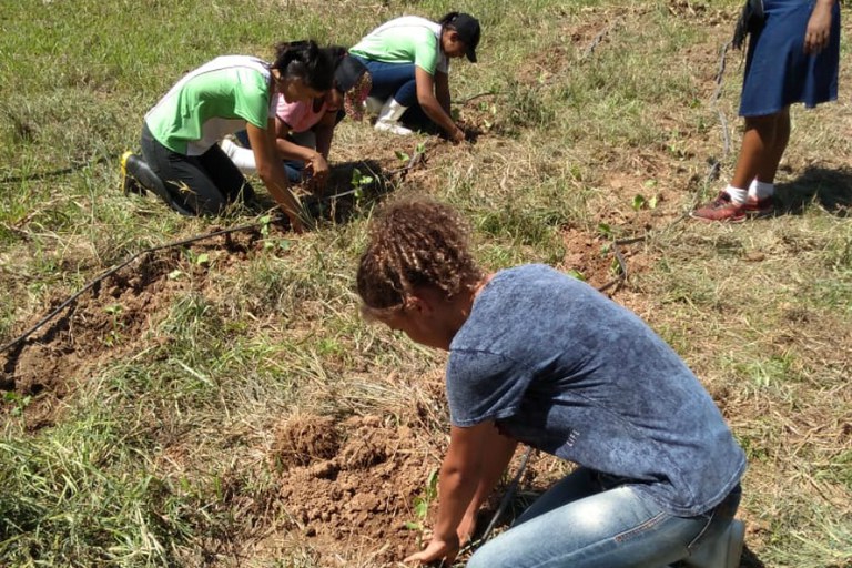 Técnico em Agropecuária de Rosal