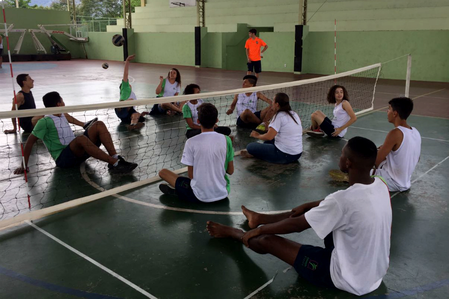 Voleibol sentado