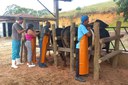 Produtores rurais participam de curso sobre Inseminação Artificial em Bovinos