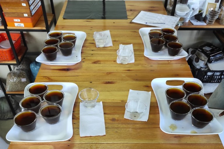 Cupping: Café IFFluminense atua em todas as etapas da produção de café
