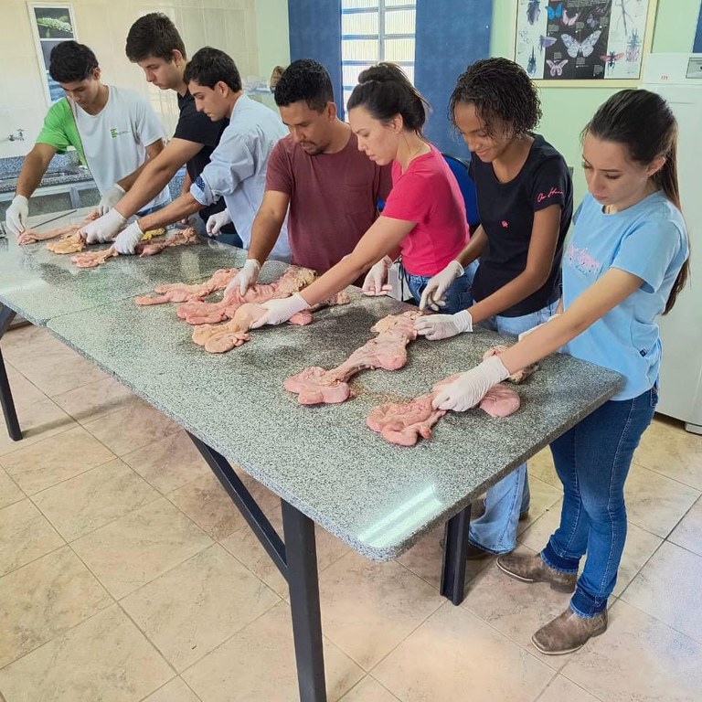 Minicurso Inseminação Artificial em Bovinos - XII Mostra do Conhecimento.jpeg