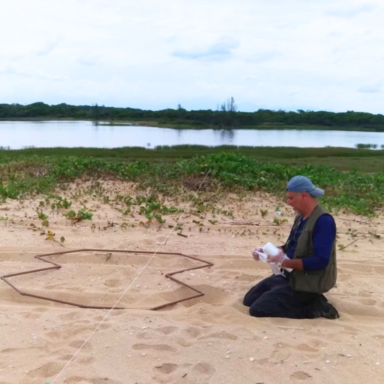Pesquisa do IFF Cabo Frio aponta solução natural para áreas afetadas por petróleo