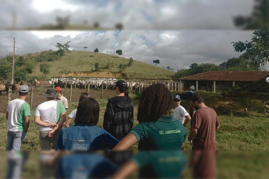 Alunos do Campus Cambuci Realizam Visita Técnica em Fazenda de Macaé