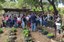 IFF Campus Avançado Cambuci realiza Semana do Alimento Orgânico e do Meio Ambiente