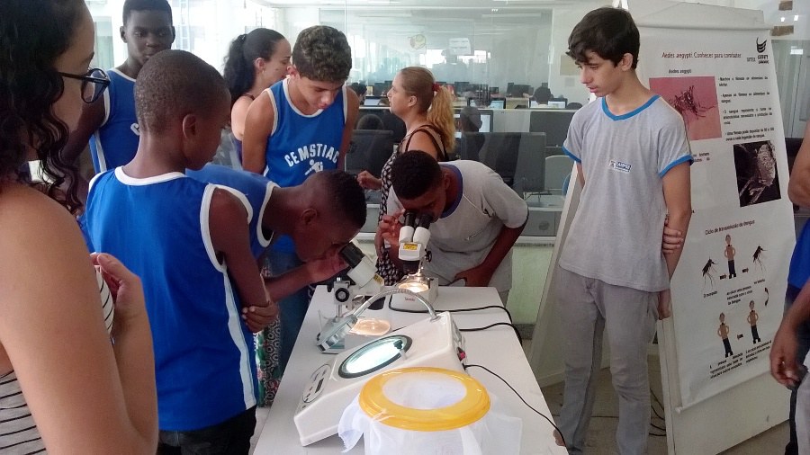 Estudantes observam larvas no microscópio
