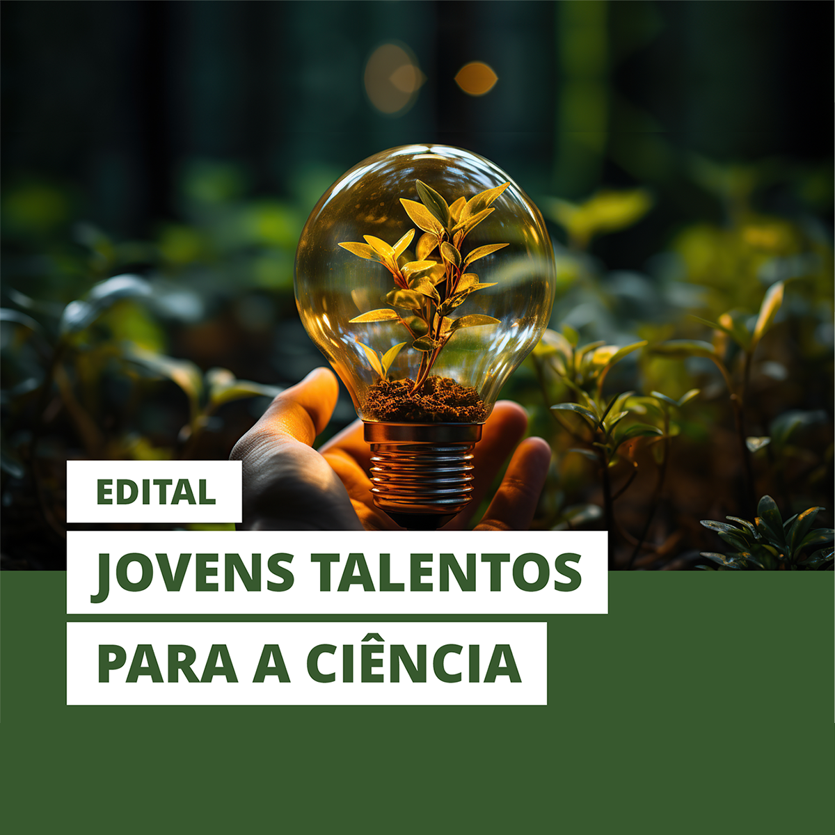 Jovens Talentos para a Ciência