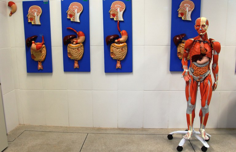 Laboratório de Anatomia G102