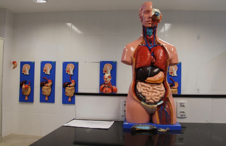 Laboratório de Anatomia G102