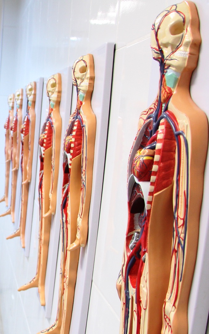 Laboratório de Anatomia G102