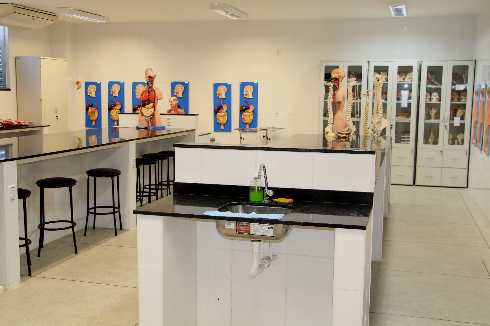 Laboratório de Anatomia G102