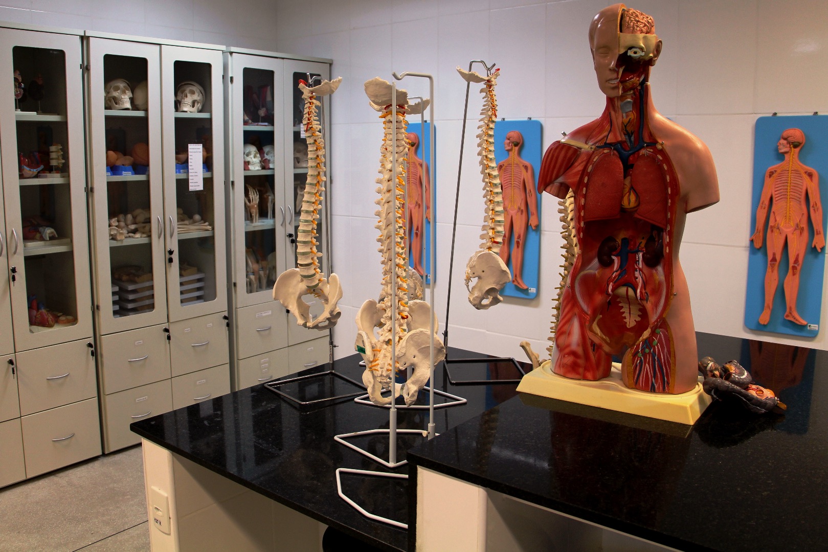 Laboratório de Anatomia G102