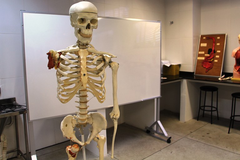 Laboratório de Anatomia G102