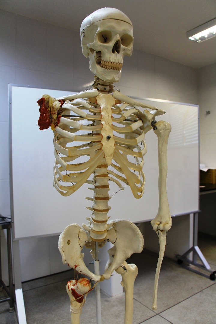 Laboratório de Anatomia G102