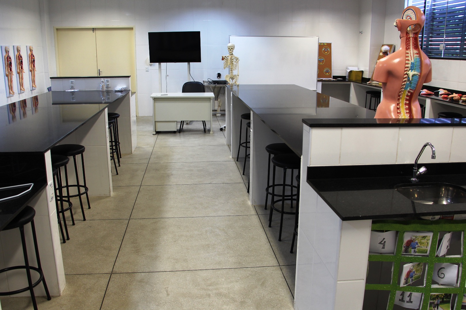 Laboratório de Anatomia G102