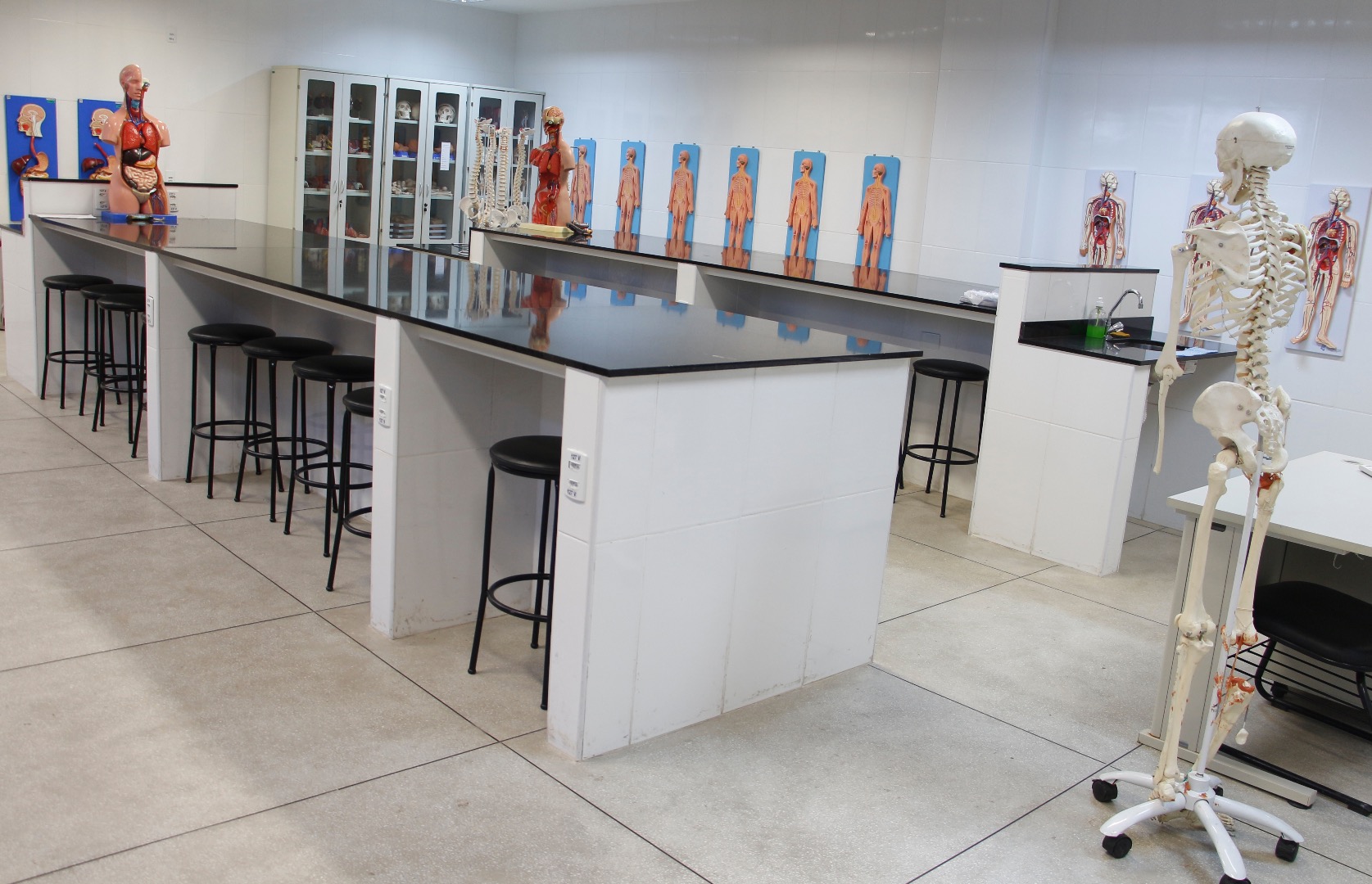 Laboratório de Anatomia G102