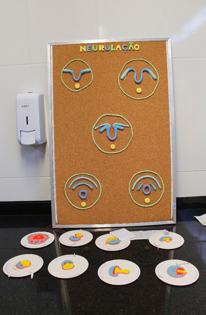 Laboratório de Anatomia G102