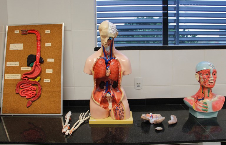 Laboratório de Anatomia G102