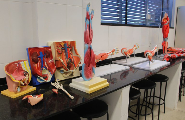 Laboratório de Anatomia G102