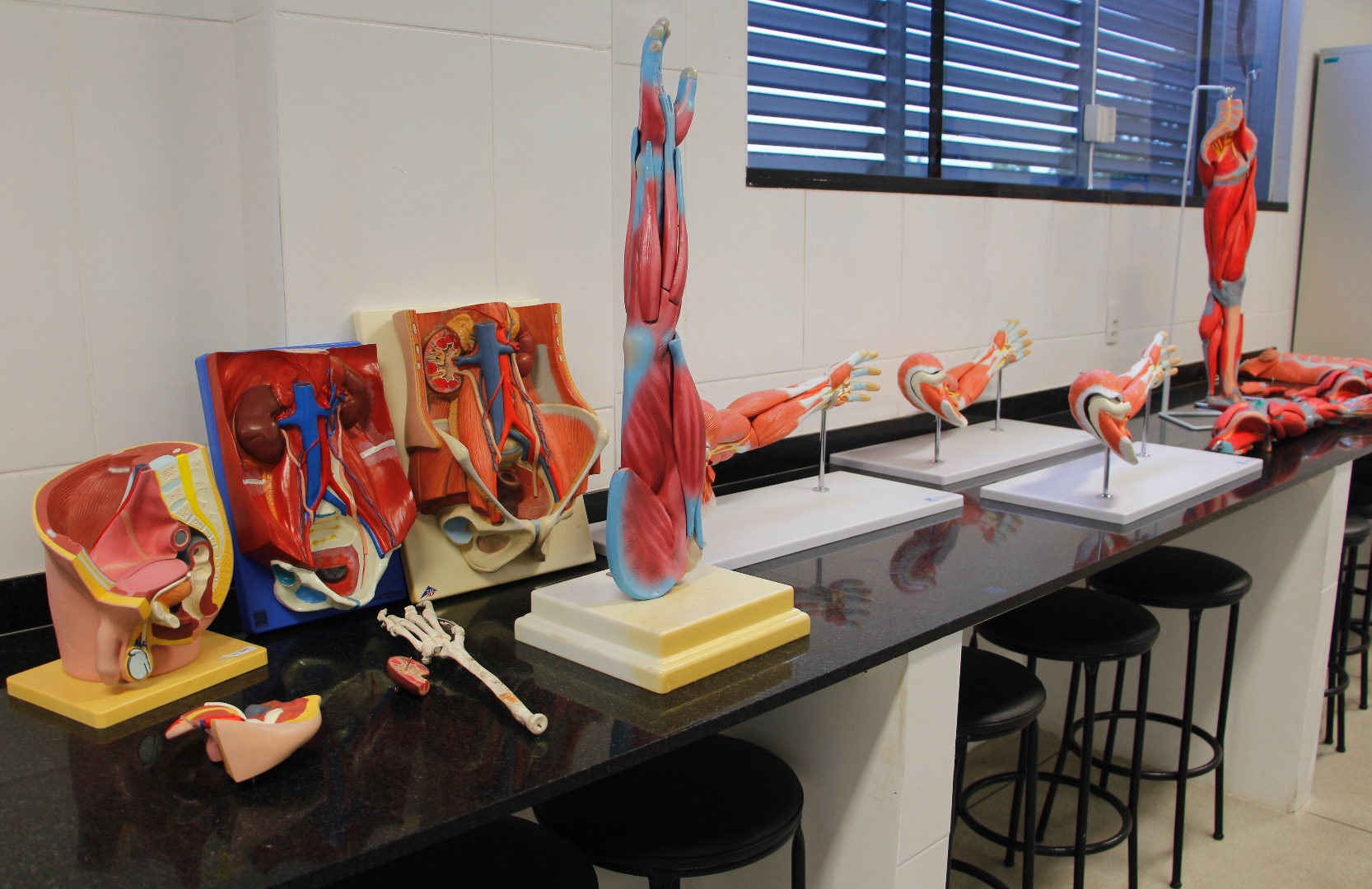 Laboratório de Anatomia G102
