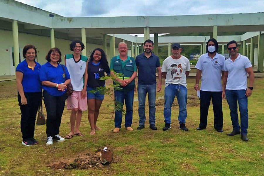 Plantio de mudas em itaperuna