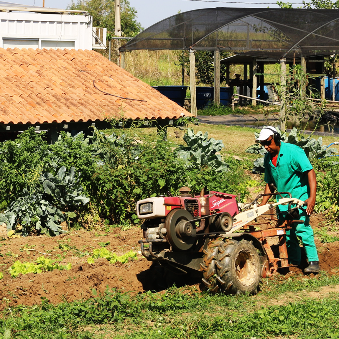 Polo de Inovação do IFF vai selecionar até 30 Empreendimentos de Economia Solidária