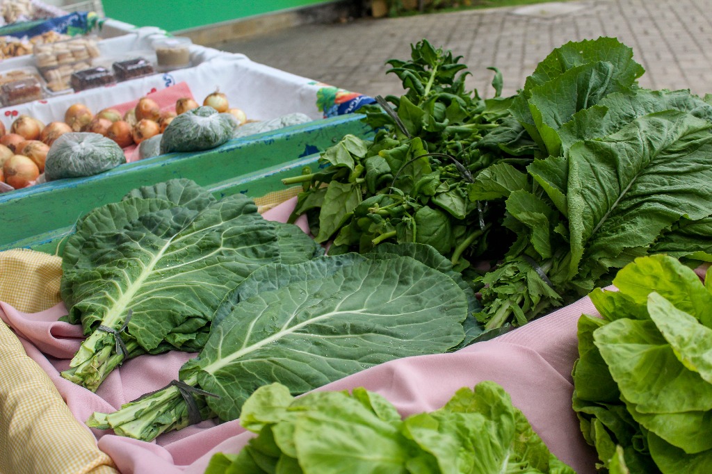 Dia Mundial da Alimentação Saudável 