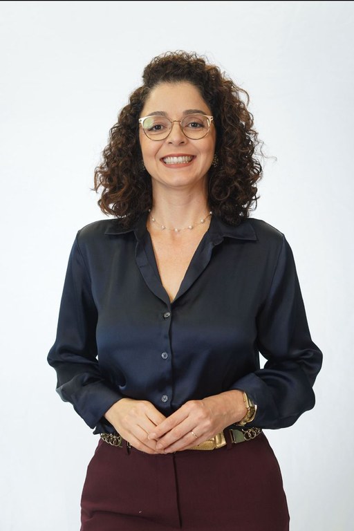 Encontro da Comissão Permanente de Saúde Mental