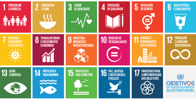 objetivos de desenvolvimento sustentável.png