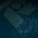 Campanha alerta sobre golpes durante o período de entrega da declaração do Imposto de Renda