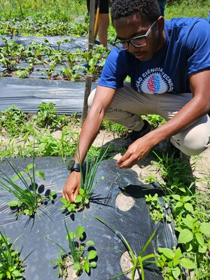Visita à produção agroecológica (1).jpeg Visita à produção agroecológica (1).jpeg
