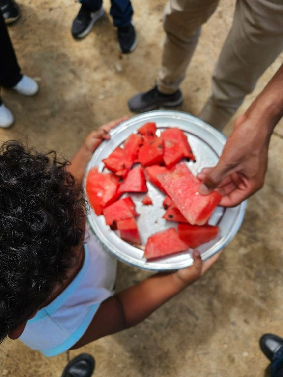 Visita à produção agroecológica  (2).jpeg