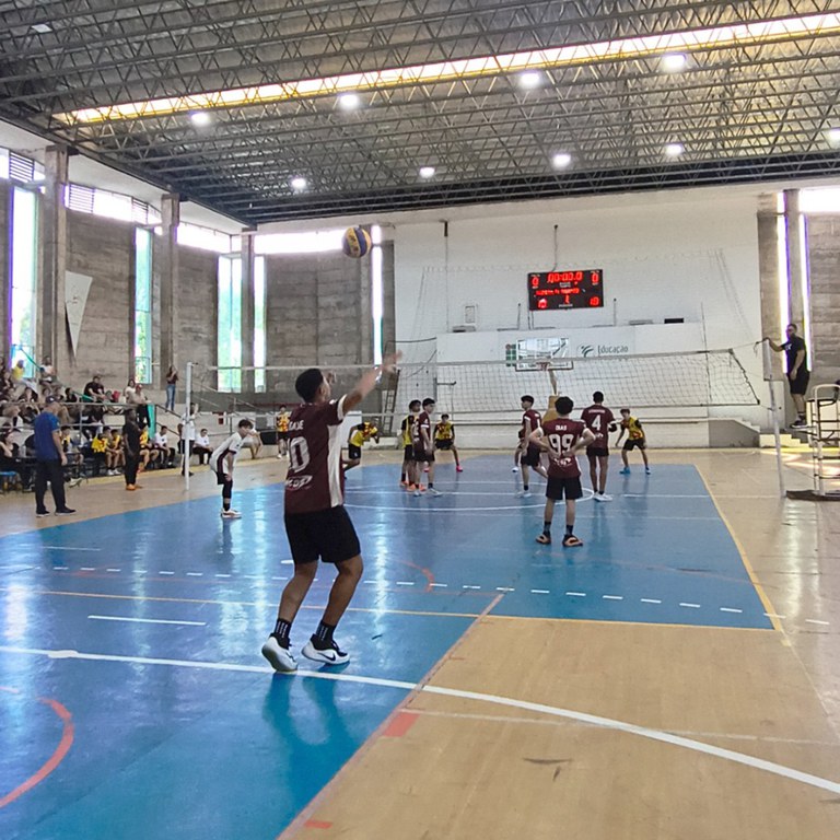Volei.jpg