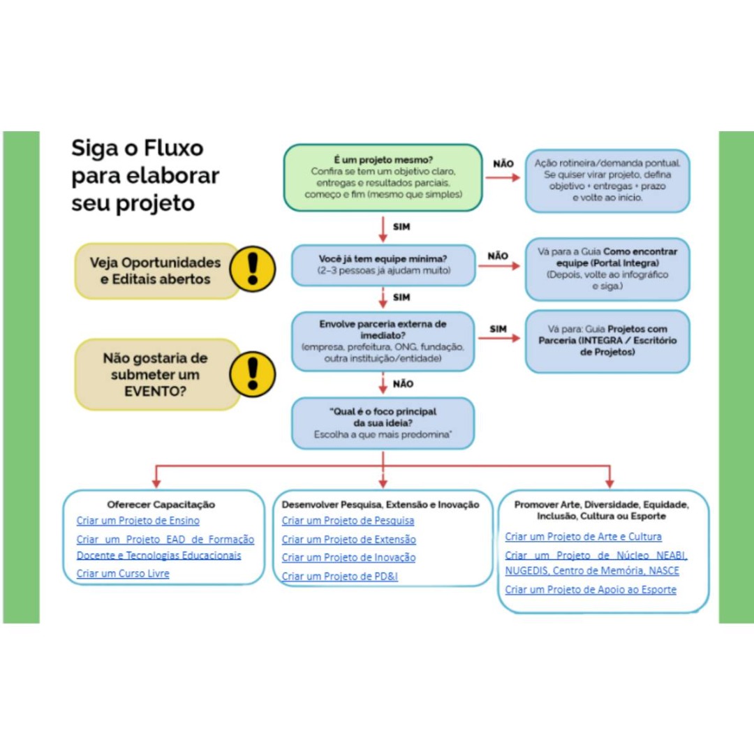 Infográfico Guia de Projetos