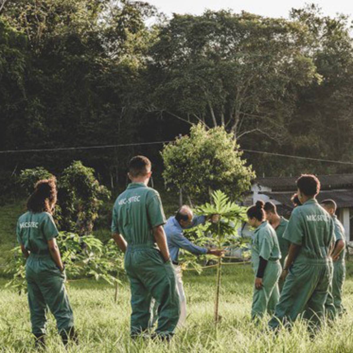 MEC seleciona projetos na área da sustentabilidade