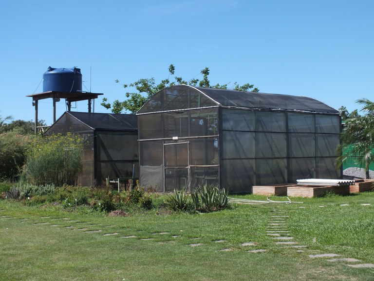 Polo de Inovação do IFF completa 10 anos com programação comemorativa