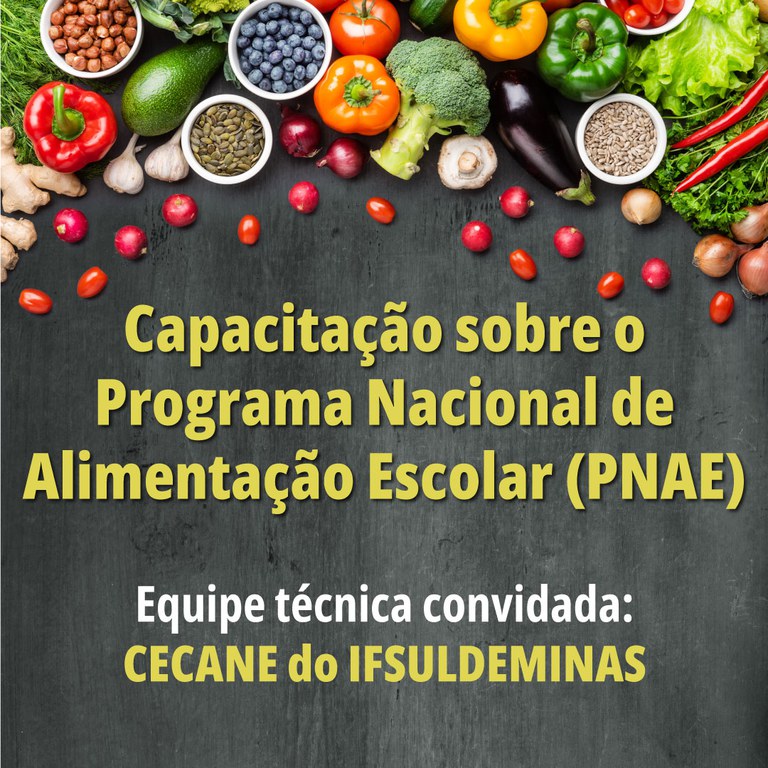 Servidores do IFF recebem capacitação sobre Alimentação Escolar