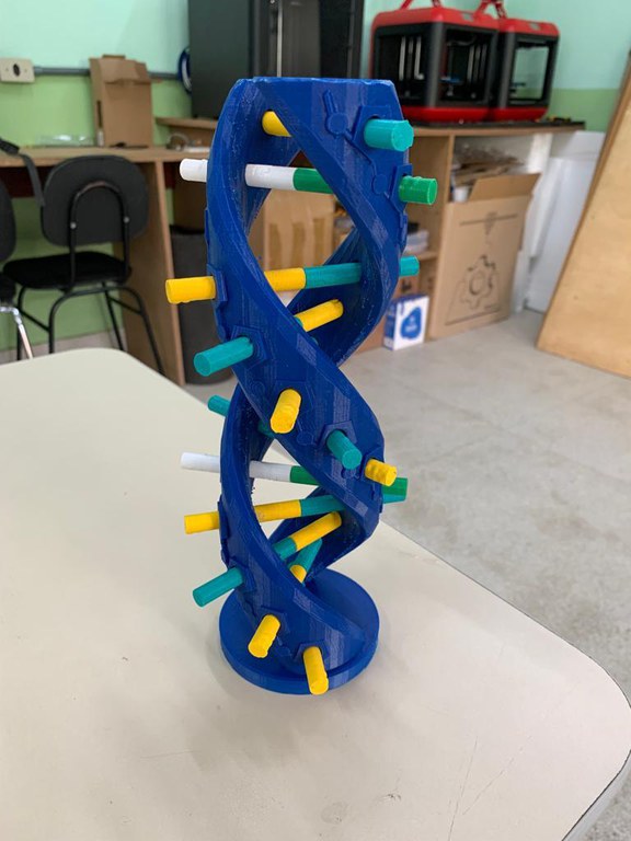 Modelo de DNA e Bases Nitrogenadas 